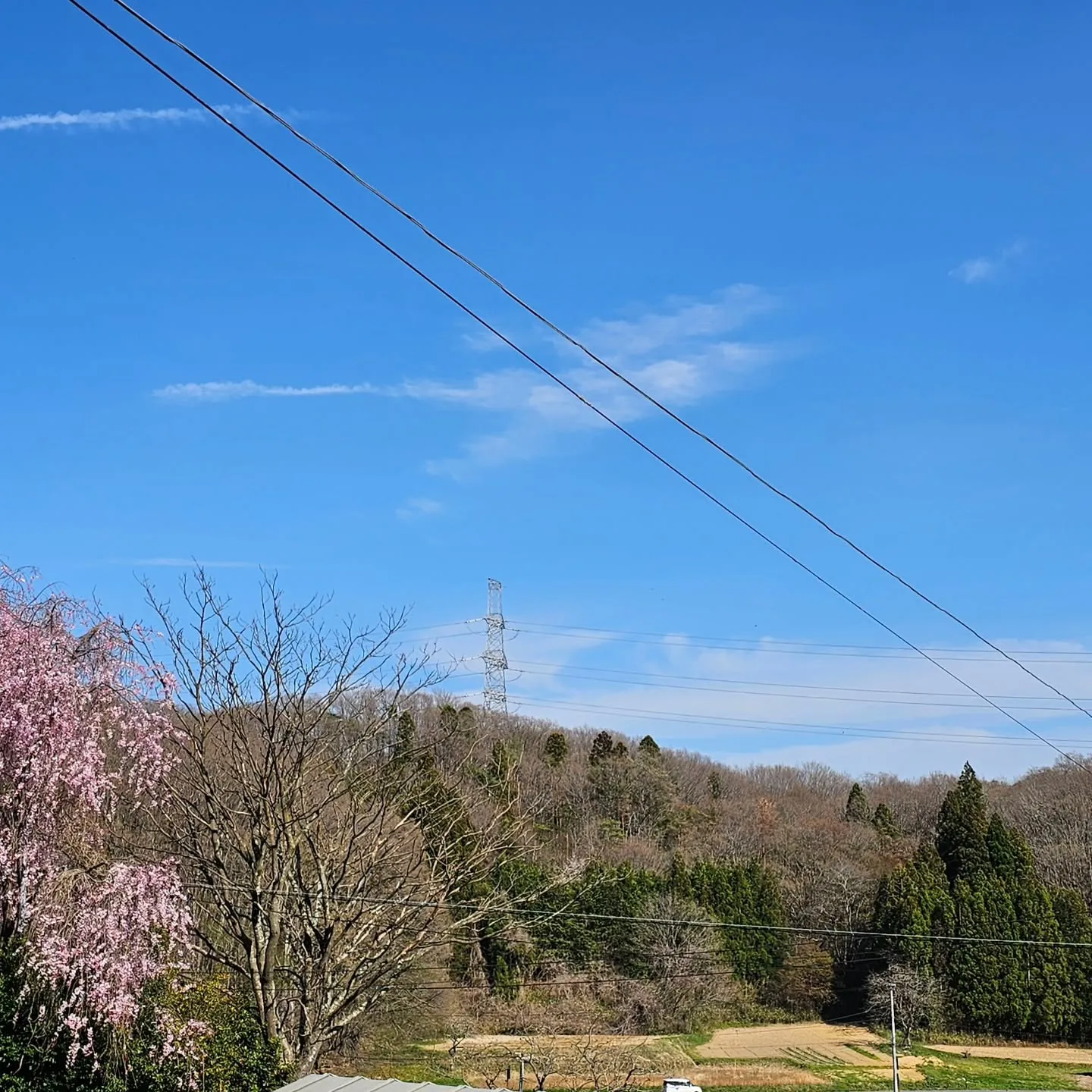 電気ですかーっ!